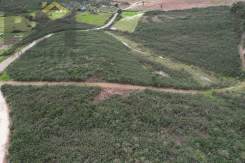 Farm i Castelo Branco, Castelo Branco, Castelo Branco - € 25.000 | Ref: 4845 - foto 7