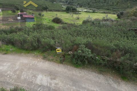 Farm i Castelo Branco, Castelo Branco, Castelo Branco - € 25.000 | Ref: 4845 - foto 8