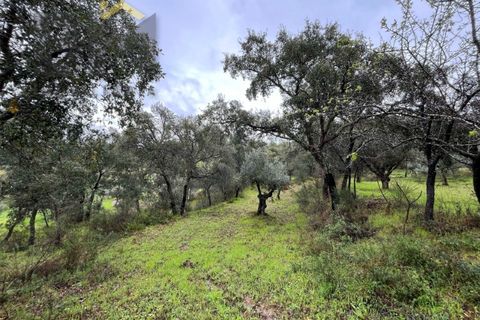 Helårsgrund i Castelo Branco, Castelo Branco, Castelo Branco - € 17.000 | Ref: 4844 - foto 5