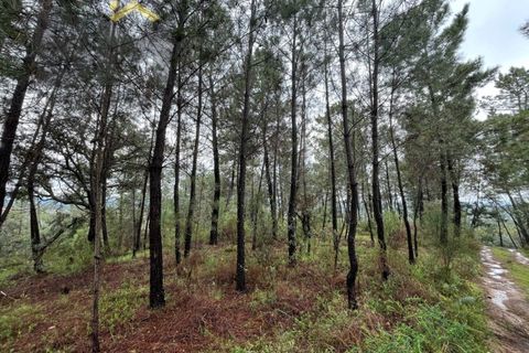 Helårsgrund i Castelo Branco, Castelo Branco, Castelo Branco - € 17.000 | Ref: 4844 - foto 13