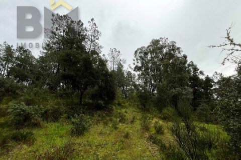 Helårsgrund i Castelo Branco, Castelo Branco, Castelo Branco - € 17.000 | Ref: 4844 - foto 14