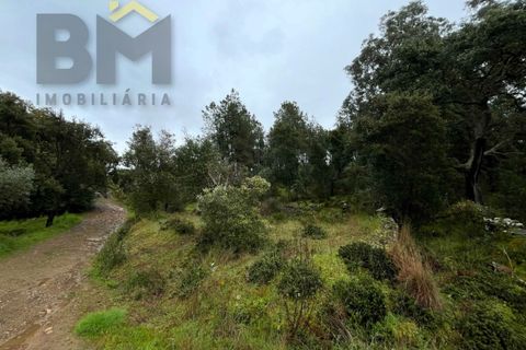 Helårsgrund i Castelo Branco, Castelo Branco, Castelo Branco - € 17.000 | Ref: 4844 - foto 15