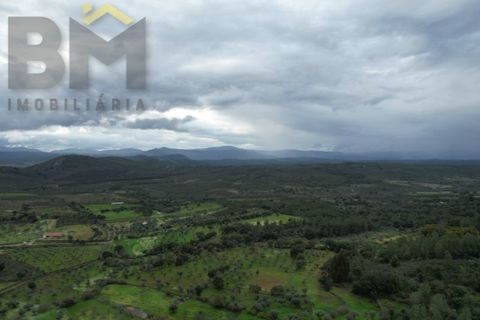 Helårsgrund i Castelo Branco, Castelo Branco, Castelo Branco - € 17.000 | Ref: 4844 - foto 16
