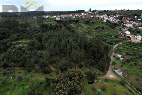 Helårsgrund i Castelo Branco, Castelo Branco, Castelo Branco - € 17.000 | Ref: 4844 - foto 18
