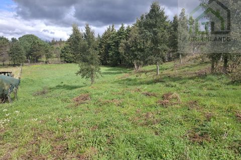 Helårsgrund i Tabua, Coimbra, Tabua - € 33.000 | Ref: 627 - foto 4