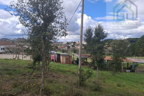 Helårsgrund i Tabua, Coimbra, Tabua - € 33.000 | Ref: 627 - foto 10