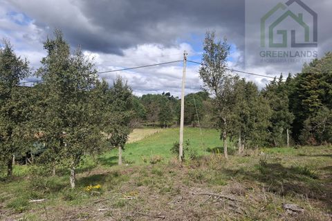 Helårsgrund i Tabua, Coimbra, Tabua - € 33.000 | Ref: 627 - foto 12