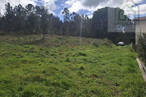 Helårsgrund i Tabua, Coimbra, Tabua - € 33.000 | Ref: 627 - foto 2