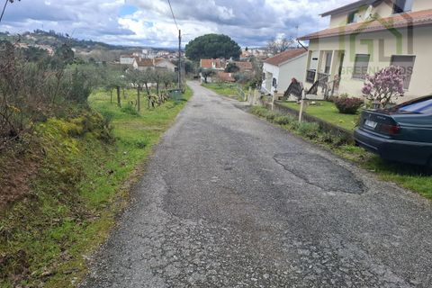 Helårsgrund i Tabua, Coimbra, Tabua - € 33.000 | Ref: 627 - foto 13