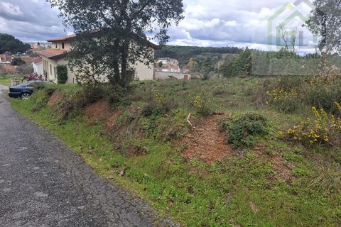 Helårsgrund i Tabua, Coimbra, Tabua - € 33.000 | Ref: 627 - foto 14