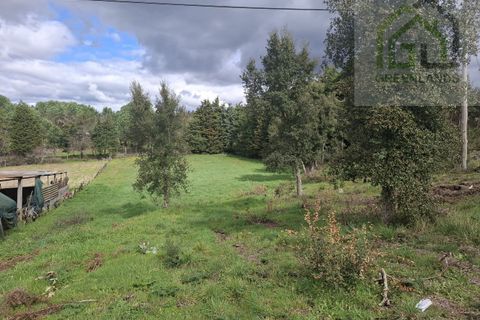 Helårsgrund i Tabua, Coimbra, Tabua - € 33.000 | Ref: 627 - foto 15