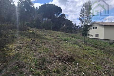 Helårsgrund i Tabua, Coimbra, Tabua - € 33.000 | Ref: 627 - foto 16