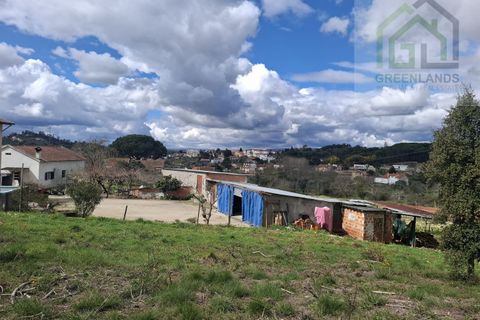 Helårsgrund i Tabua, Coimbra, Tabua - € 33.000 | Ref: 627 - foto 17