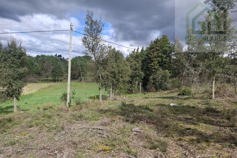 Helårsgrund i Tabua, Coimbra, Tabua - € 33.000 | Ref: 627 - foto 3