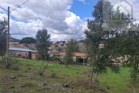 Helårsgrund i Tabua, Coimbra, Tabua - € 33.000 | Ref: 627 - foto 18