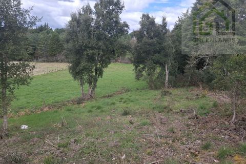 Helårsgrund i Tabua, Coimbra, Tabua - € 33.000 | Ref: 627 - foto 19