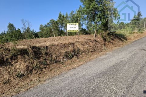Helårsgrund i Tabua, Coimbra, Tabua - € 33.000 | Ref: 627 - foto 5
