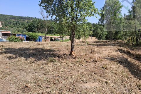 Helårsgrund i Tabua, Coimbra, Tabua - € 33.000 | Ref: 627 - foto 7