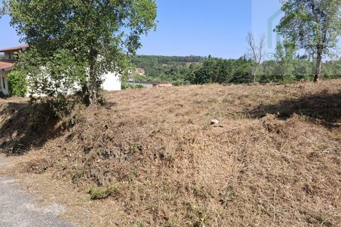 Helårsgrund i Tabua, Coimbra, Tabua - € 33.000 | Ref: 627 - foto 8