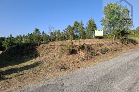 Helårsgrund i Tabua, Coimbra, Tabua - € 33.000 | Ref: 627 - foto 9