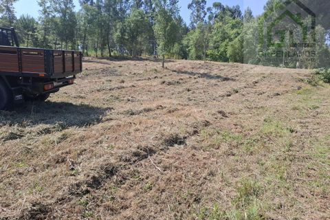 Helårsgrund i Tabua, Coimbra, Tabua - € 33.000 | Ref: 627 - foto 22