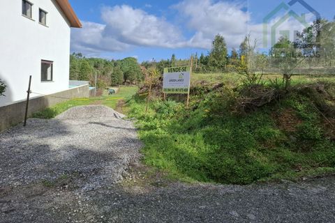 Helårsgrund i Tabua, Coimbra, Tabua - € 33.000 | Ref: 627 - foto 23