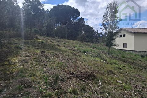 Terreno en Tabua, Coimbra, Tabua - € 33.000 | Ref: 627 - photo 16