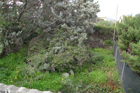 Terra a Orba, Alicante, Orba - € 115.000 | Ref: 001668PGI - foto 12