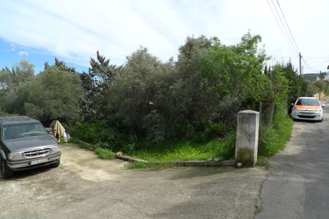 Terra a Orba, Alicante, Orba - € 115.000 | Ref: 001668PGI - foto 16