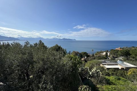 Villa a Bagheria, Palermo, Bagheria - € 770.000 | Ref: Villa Vanessa - Mongerbino - foto 22