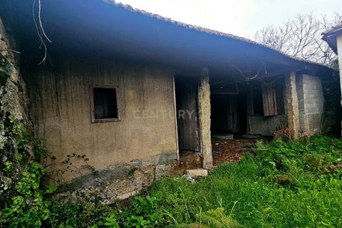 Villa a Abraveses, Viseu, Abraveses - € 64.000 | Ref: C0203-02441 - foto 6