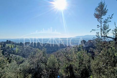 Landejendom i Vinci, Florence, Vinci - € 940.000 | Ref: 1003-252C - foto 2