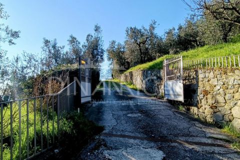 Landejendom i Vinci, Florence, Vinci - € 940.000 | Ref: 1003-252C - foto 6
