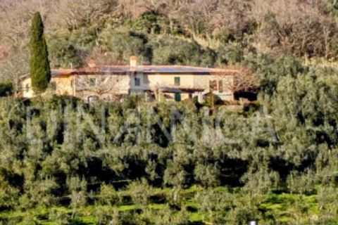 Landejendom i Vinci, Florence, Vinci - € 940.000 | Ref: 1003-252C - foto 7
