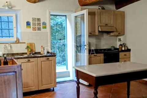 Landejendom i Vinci, Florence, Vinci - € 940.000 | Ref: 1003-252C - foto 18