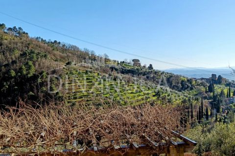 Landejendom i Vinci, Florence, Vinci - € 940.000 | Ref: 1003-252C - foto 23