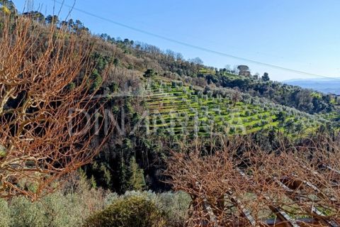 Landejendom i Vinci, Florence, Vinci - € 940.000 | Ref: 1003-252C - foto 27