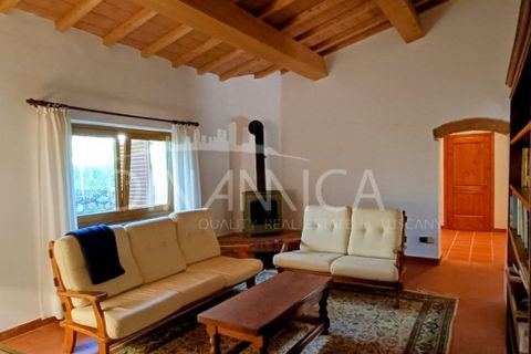 Landejendom i Vinci, Florence, Vinci - € 940.000 | Ref: 1003-252C - foto 30