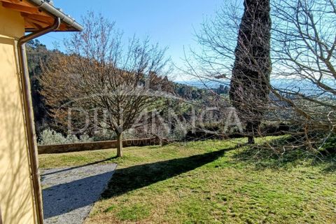 Landejendom i Vinci, Florence, Vinci - € 940.000 | Ref: 1003-252C - foto 47