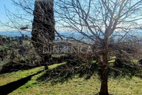 Landejendom i Vinci, Florence, Vinci - € 940.000 | Ref: 1003-252C - foto 48