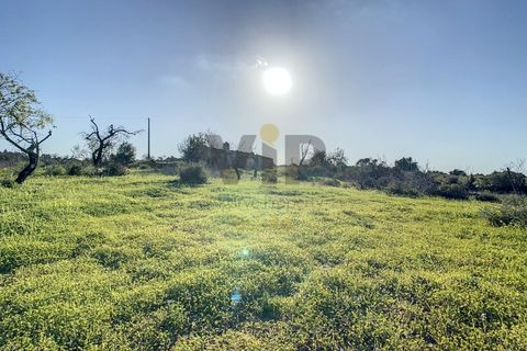 Helårsgrund i Quelfes, Faro, Quelfes - € 140.000 | Ref: VTO365A - foto 12