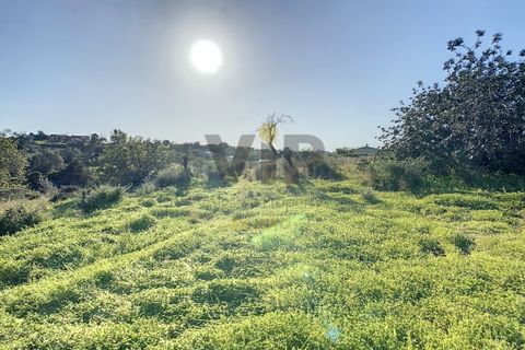 Helårsgrund i Quelfes, Faro, Quelfes - € 140.000 | Ref: VTO365A - foto 19