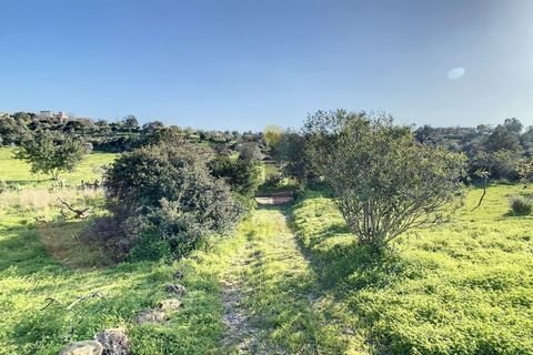 Helårsgrund i Quelfes, Faro, Quelfes - € 140.000 | Ref: VTO365A - foto 22