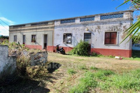 Villa i Moncarapacho, Faro, Moncarapacho - € 495.000 | Ref: PW348 - foto 1