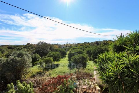 Villa i Moncarapacho, Faro, Moncarapacho - € 495.000 | Ref: PW348 - foto 19