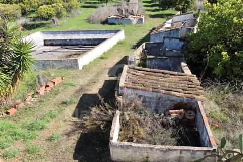 Villa i Moncarapacho, Faro, Moncarapacho - € 495.000 | Ref: PW348 - foto 21