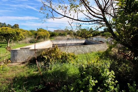 Villa i Moncarapacho, Faro, Moncarapacho - € 495.000 | Ref: PW348 - foto 29