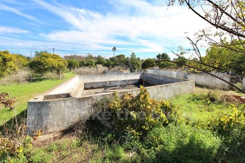 Villa i Moncarapacho, Faro, Moncarapacho - € 495.000 | Ref: PW348 - foto 30