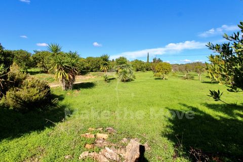 Villa i Moncarapacho, Faro, Moncarapacho - € 495.000 | Ref: PW348 - foto 31