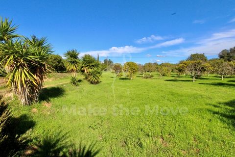 Villa i Moncarapacho, Faro, Moncarapacho - € 495.000 | Ref: PW348 - foto 32